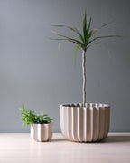 Wrap Planter - 4 sizes