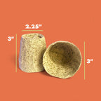 Kelp Pots | Plantable Seed-Starters