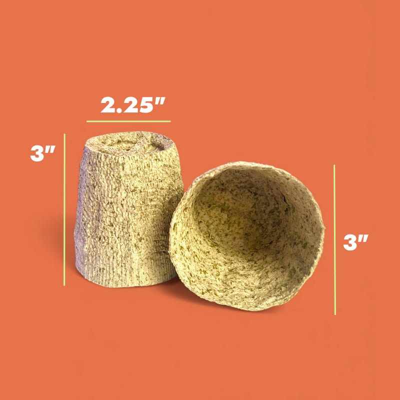 Kelp Pots | Plantable Seed-Starters