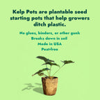 Kelp Pots | Plantable Seed-Starters