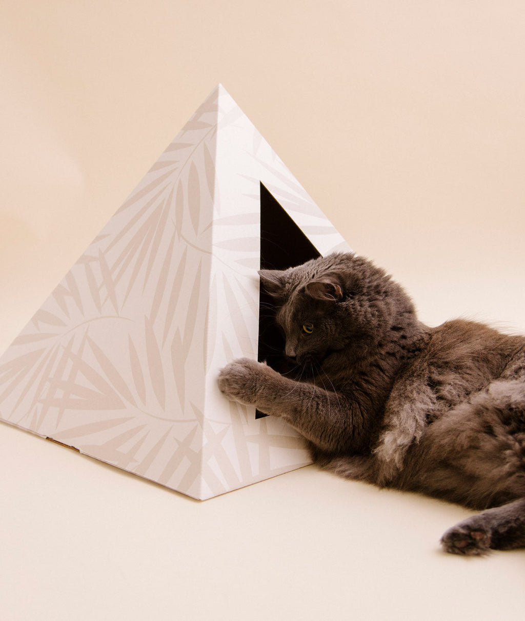 'Neutral Palm' Cardboard Cat Pyramid