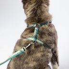 Escape Free Dog Harness 1''